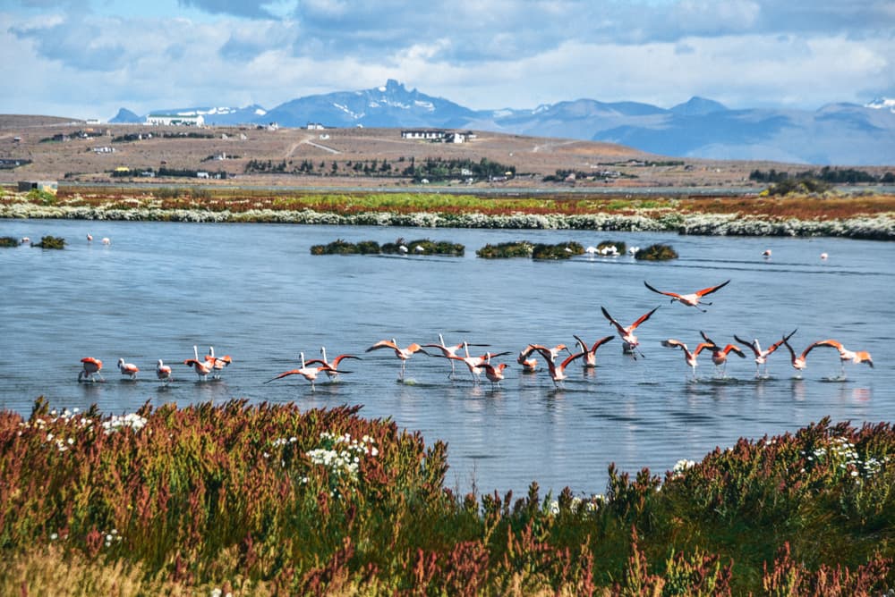 El Calafate and the Glaciers