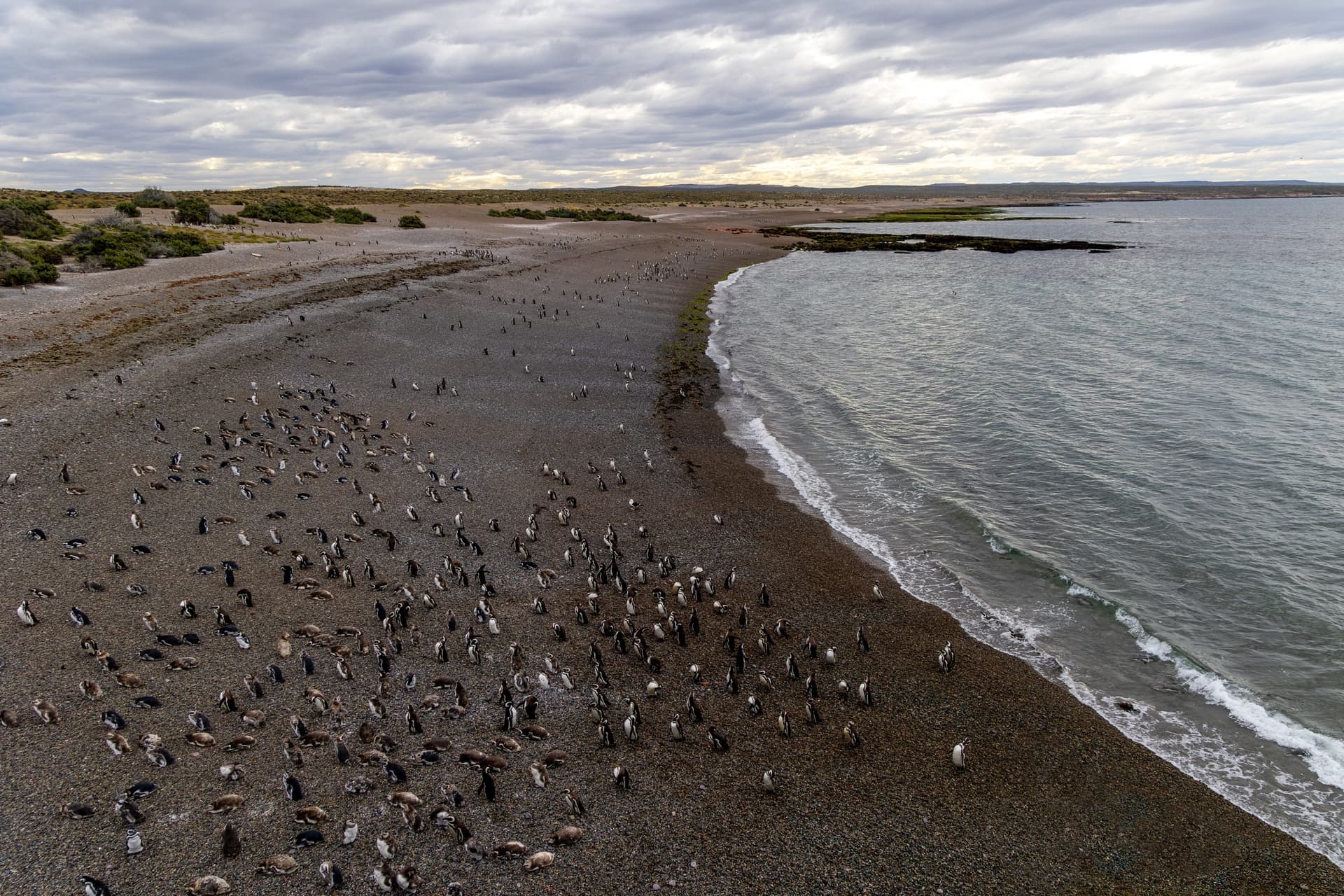 Magellan Peninsula in Chile